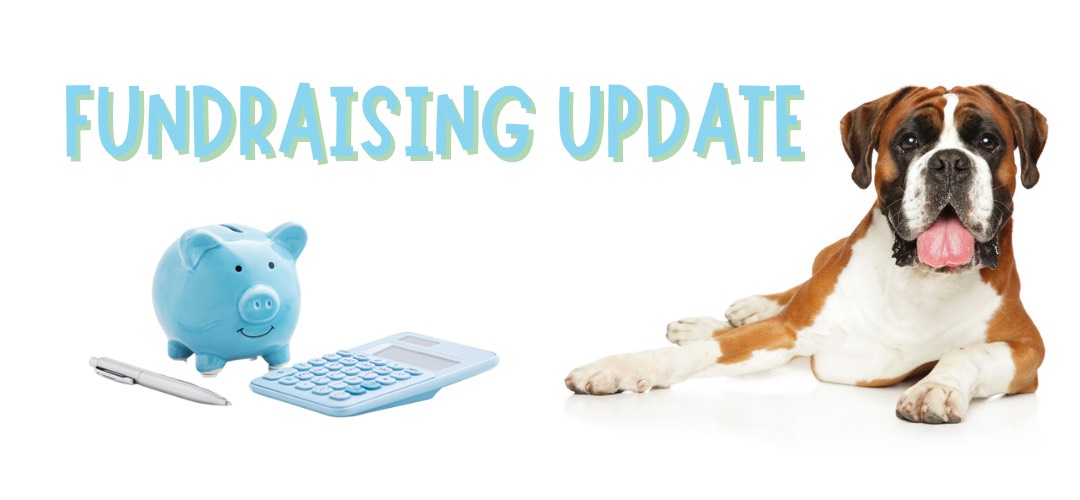 Read more about the article Fundraising Update – May