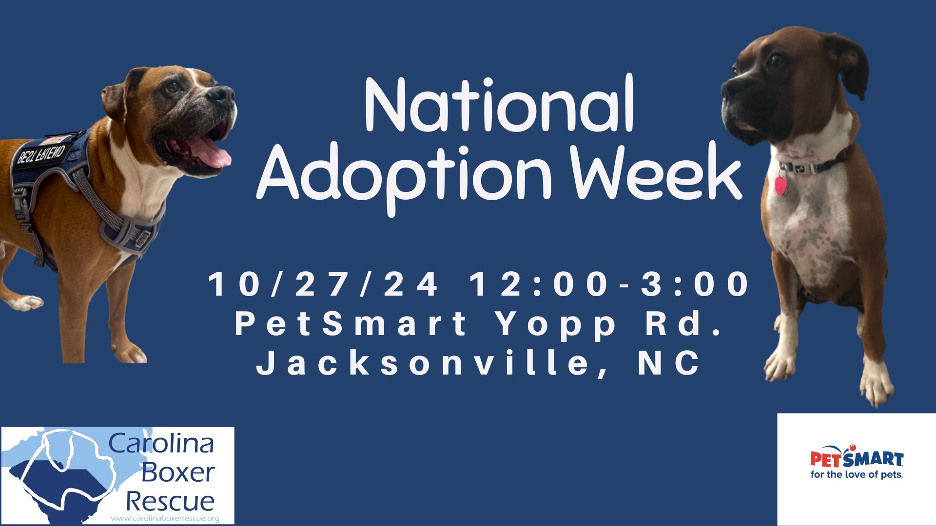 You are currently viewing National Adoption Week