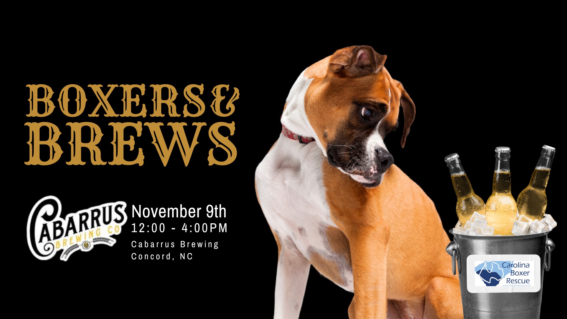 You are currently viewing Boxers & Brews at Cabarrus Brewing