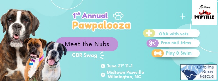 You are currently viewing Pawpalooza