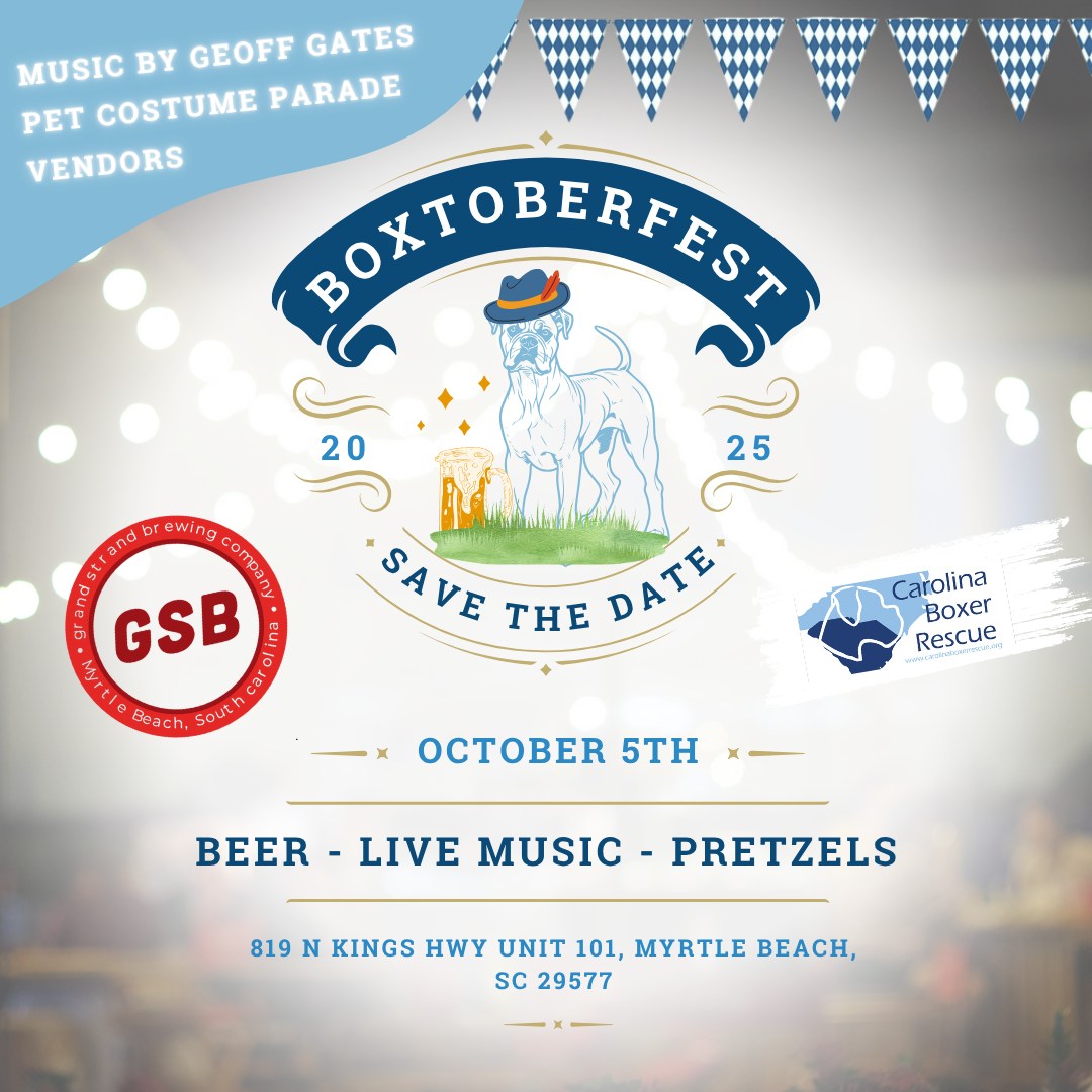 You are currently viewing Boxtoberfest