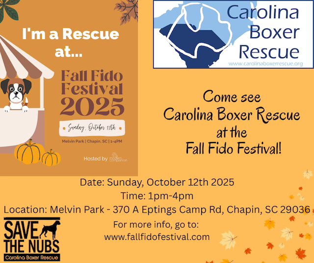 You are currently viewing CBR @ Fall Fido Festival